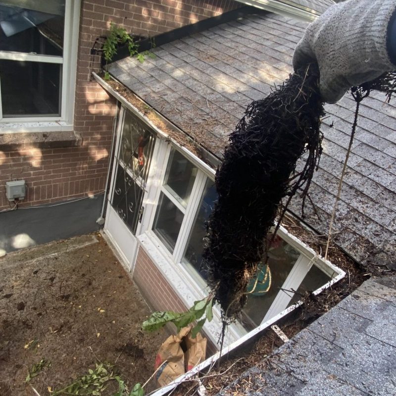professional gutter cleaning gloved hand pulling out wet debris