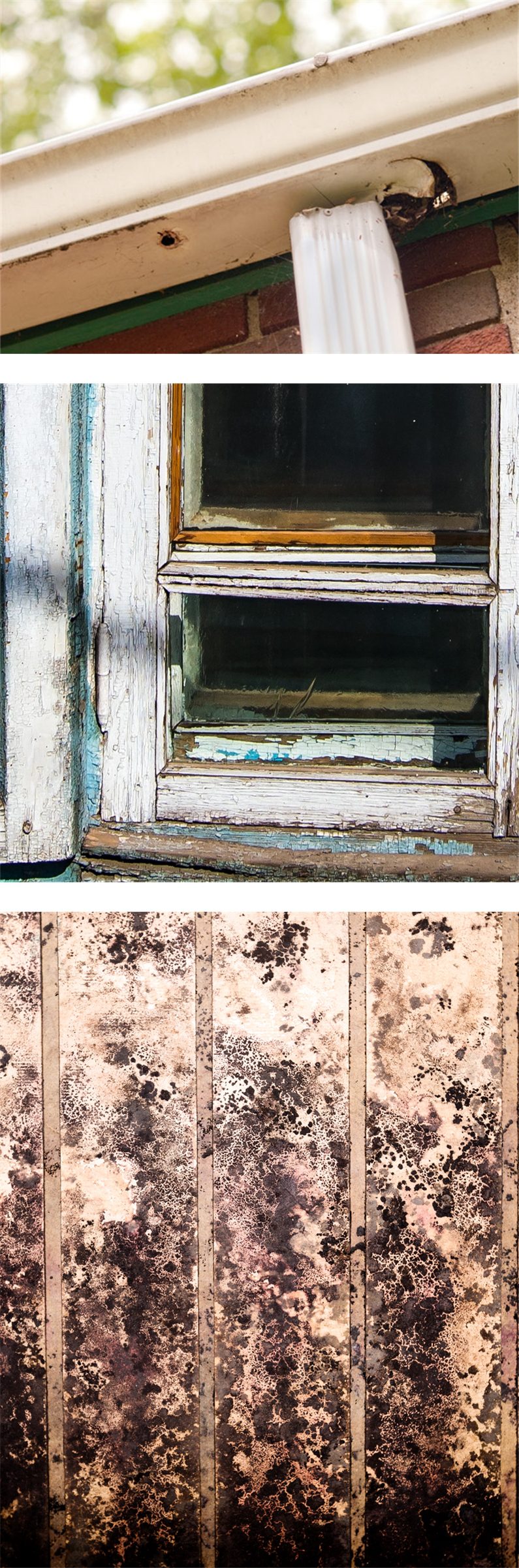 collage of 3 photos including old, damaged eavestrough with peeling paint and rusting, rotting window frame, and mould damage inside a home from water leaks