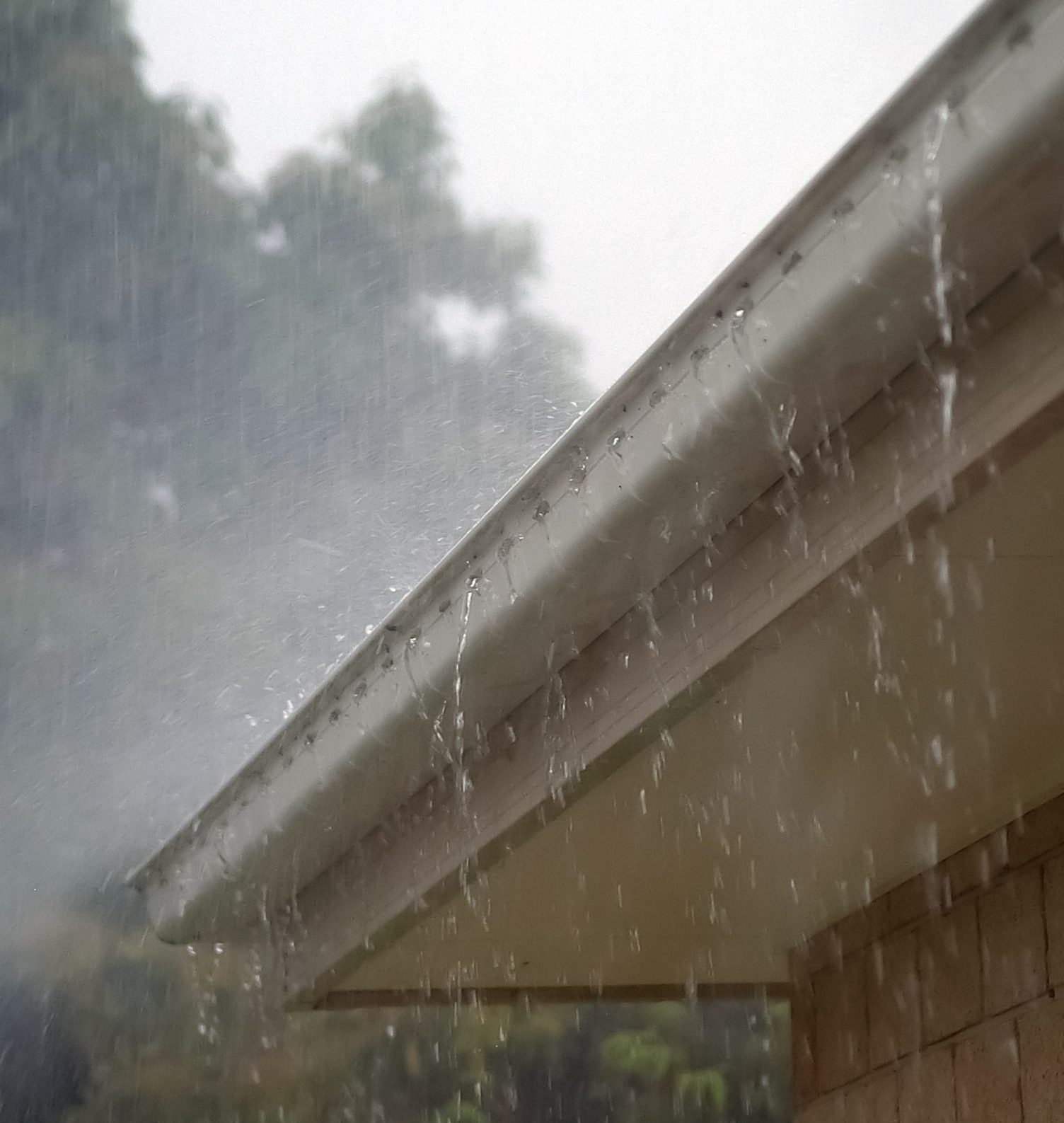 rain overflowing clogged gutters